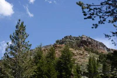 DSC_3169 (Large).JPG